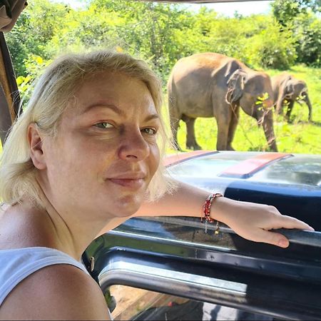 Elephant Paradise Safari Bungalow 达瓦拉维 外观 照片