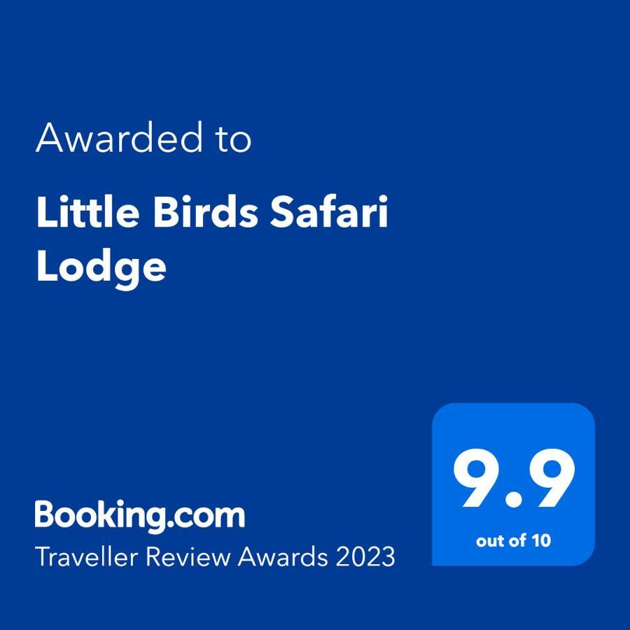 Little Birds Safari Lodge 达瓦拉维 外观 照片