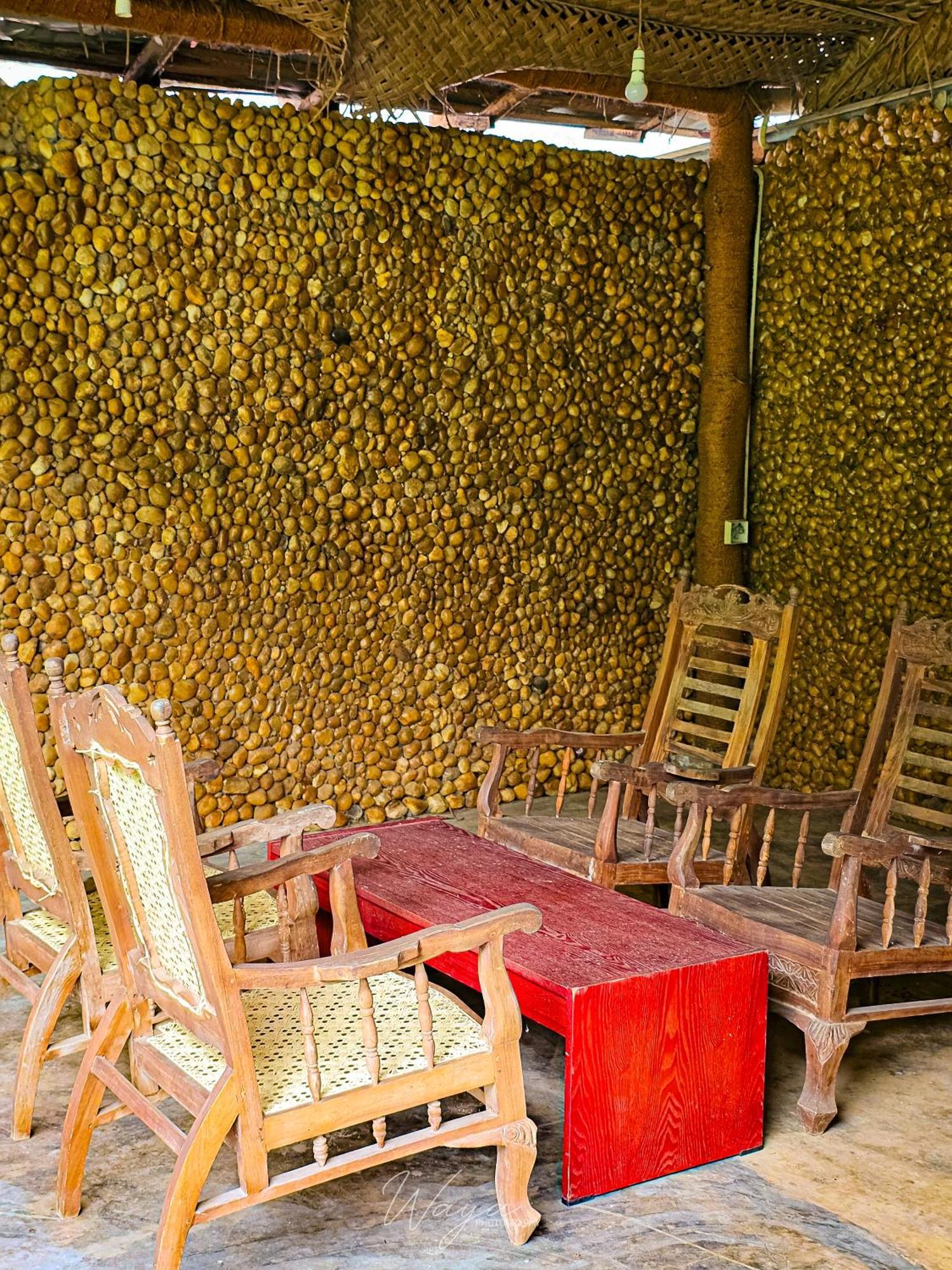 Elephant Paradise Safari Bungalow 达瓦拉维 外观 照片