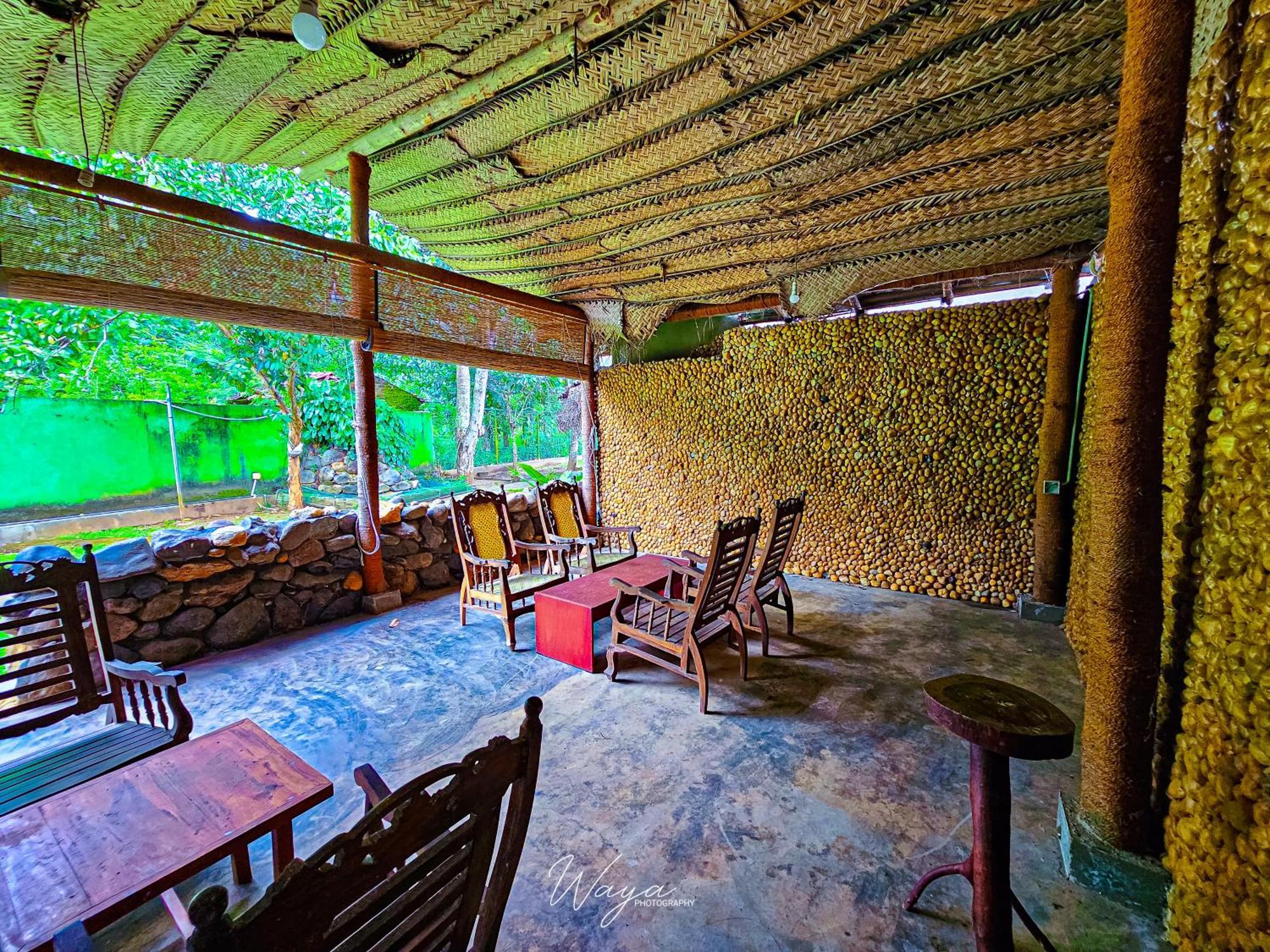 Elephant Paradise Safari Bungalow 达瓦拉维 外观 照片