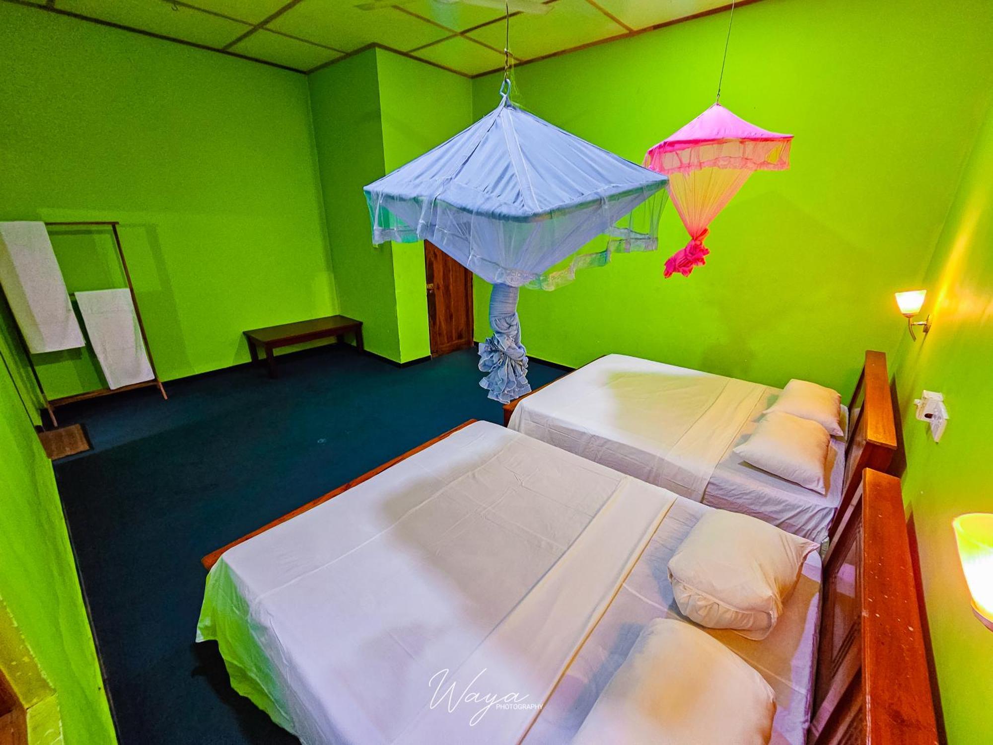 Elephant Paradise Safari Bungalow 达瓦拉维 外观 照片