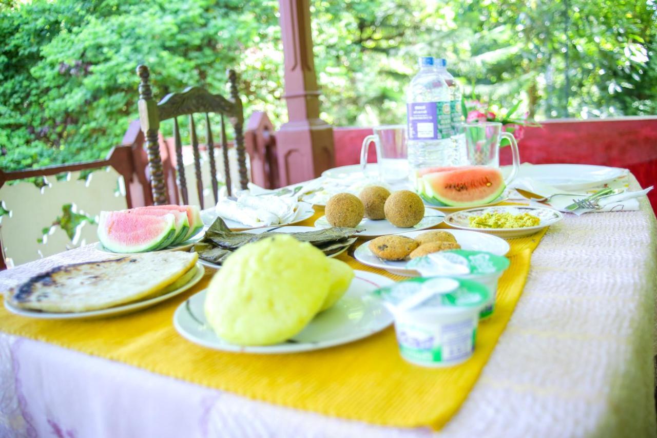 Elephant Paradise Safari Bungalow 达瓦拉维 外观 照片